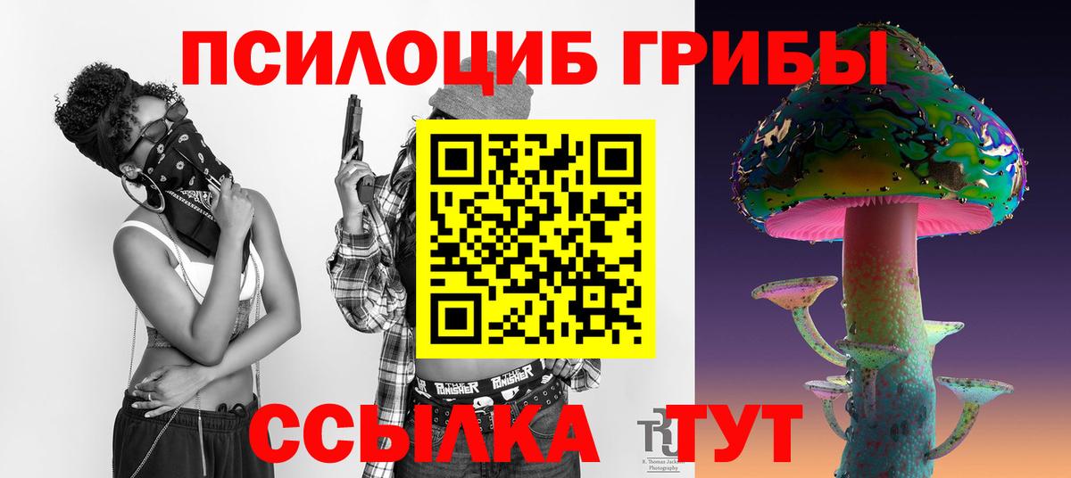 Галлюциногенные грибы Psilocybine cubensis Вичуга